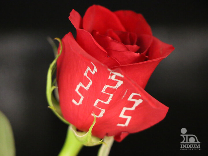 A red rose with white geometric patterns on its petals.