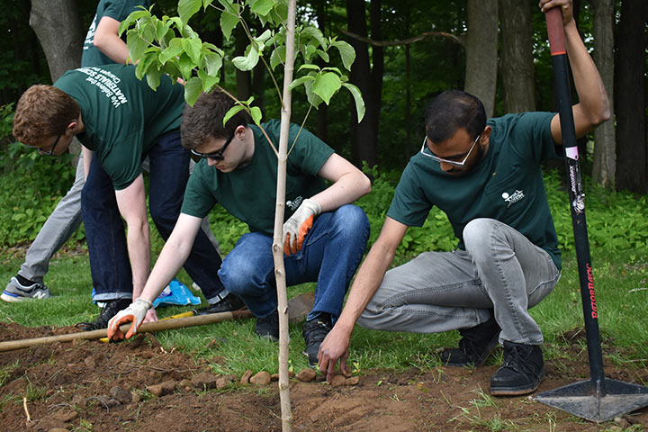 Volunteers, embodying social responsibility, plant a tree in the park, wearing green shirts and gloves, surrounded by vibrant greenery.