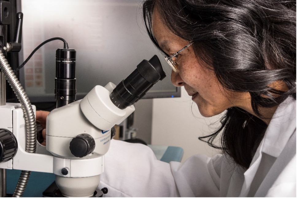 Dr. Yan Liu, Director of Global Research and Development (R&D) at Indium Corporation, is the recipient of the 2025 Innovator of the Year Award.